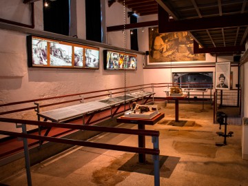 Anteprima The Museum