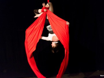PERFORMANCE DI TESSUTI AEREI