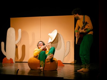 TARTARUGHE (due di tutto)0