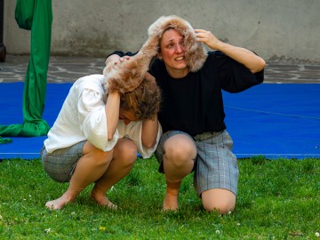 MIO FRATELLO SUGLI ALBERI5